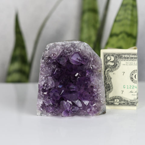 crystals healing Amethyst Cluster Crystalz.com