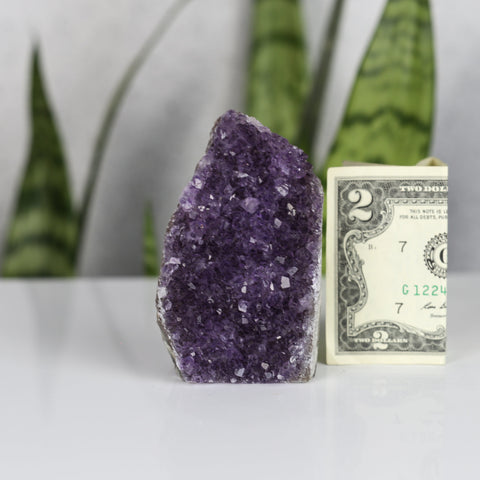 crystals healing Amethyst Cluster Crystalz.com