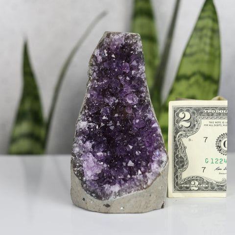 crystals healing Amethyst Cluster Crystalz.com