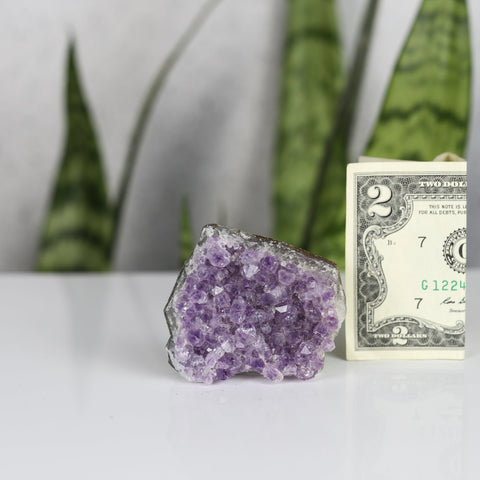 crystals healing Amethyst Cluster Crystalz.com