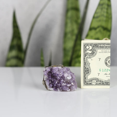 crystals healing Amethyst Cluster Crystalz.com