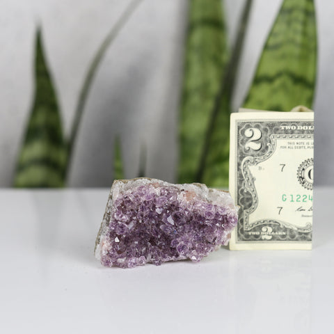 crystals healing Amethyst Cluster Crystalz.com