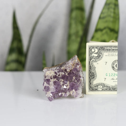 crystals healing Amethyst Cluster Crystalz.com