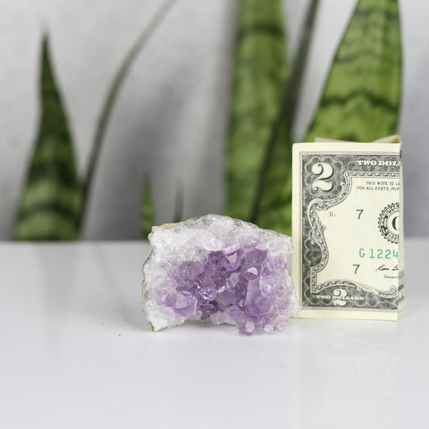 crystals healing Amethyst Cluster Crystalz.com