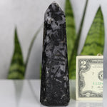 crystals healing Black Tourmaline Tower Crystalz.com