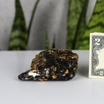 crystals healing Black Tourmaline with Reflective Minerals and Mica Crystalz.com