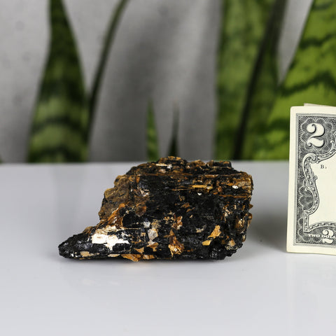 crystals healing Black Tourmaline with Reflective Minerals and Mica Crystalz.com