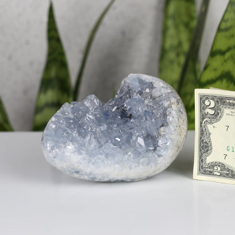 crystals healing Blue Celestite Cluster "Egg" Crystalz.com