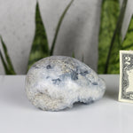 crystals healing Blue Celestite Cluster "Egg" Crystalz.com