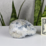 crystals healing Blue Celestite Cluster "Egg" Crystalz.com