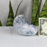 crystals healing Blue Celestite Cluster "Egg" Crystalz.com