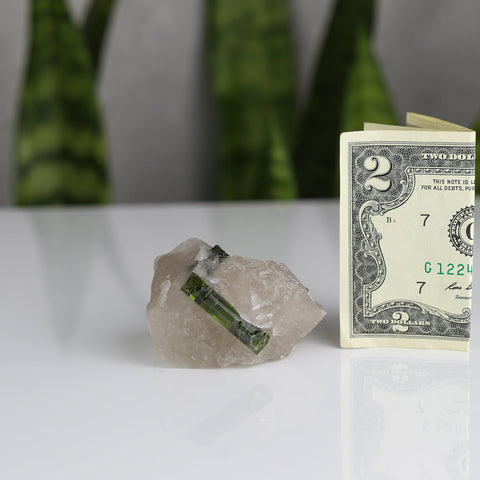 crystals healing Green Tourmaline Tube In Clear Quartz Crystalz.com