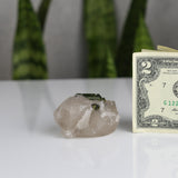 crystals healing Green Tourmaline Tube In Clear Quartz Crystalz.com
