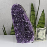 crystals healing Large Brazil Amethyst Cluster Crystalz.com