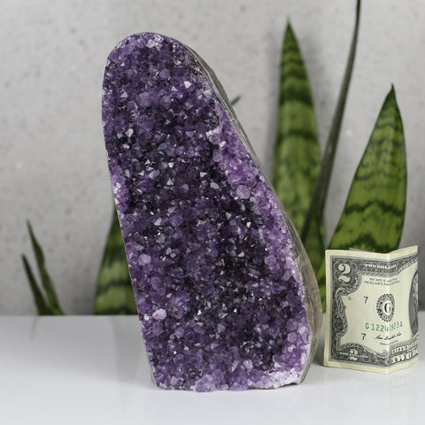 crystals healing Large Brazil Amethyst Cluster Crystalz.com