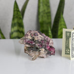 crystals healing Massive Watermelon Tourmaline with Clear Quartz Points Crystalz.com