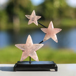 crystals healing Rare Brazilian High Quality Rose Quartz Stars Crystalz.com