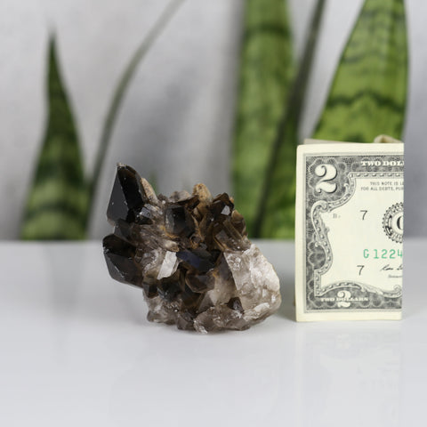 crystals healing Smoky Quartz Cluster Crystalz.com