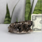 crystals healing Smoky Quartz Cluster Crystalz.com