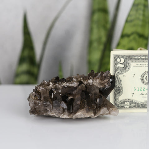 crystals healing Smoky Quartz Cluster Crystalz.com
