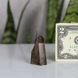 crystals healing Smoky Quartz Tower Crystalz.com