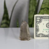 crystals healing Smoky Quartz Tower Crystalz.com