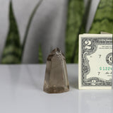 crystals healing Smoky Quartz Tower Crystalz.com