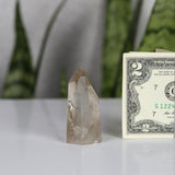 crystals healing Smoky Quartz Tower Crystalz.com