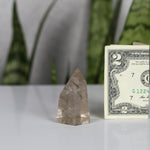 crystals healing Smoky Quartz Tower Crystalz.com