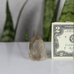 crystals healing Smoky Quartz Tower Crystalz.com