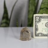 crystals healing Smoky Quartz Tower Crystalz.com