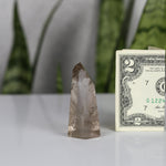 crystals healing Smoky Quartz Tower Crystalz.com