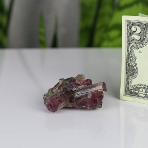 crystals healing Watermelon Tourmaline Crystalz.com