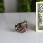 crystals healing Watermelon Tourmaline Crystalz.com