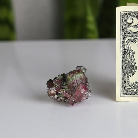 crystals healing Watermelon Tourmaline Crystalz.com